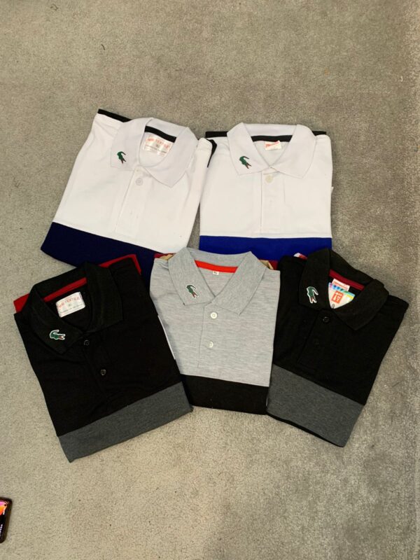 First Copy Lacoste T-Shirts