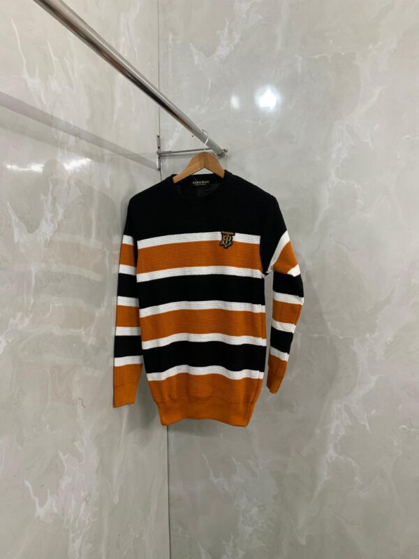 FIRST COPY Zara Billeniore Edition Unisex semi winter sweaters - Image 4