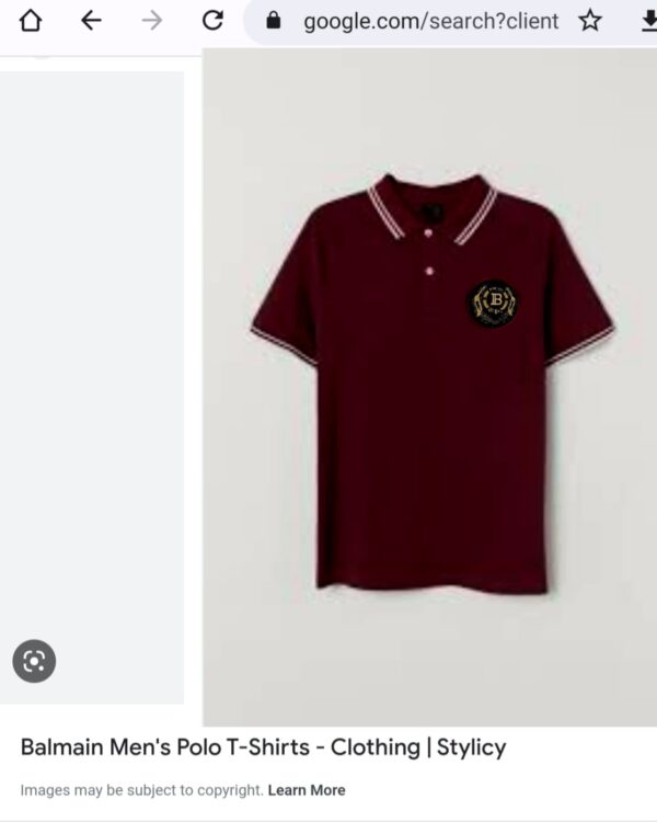 FIRST COPY BALMAIN IMPORTED COTTON LYCRA POLOS - Image 10